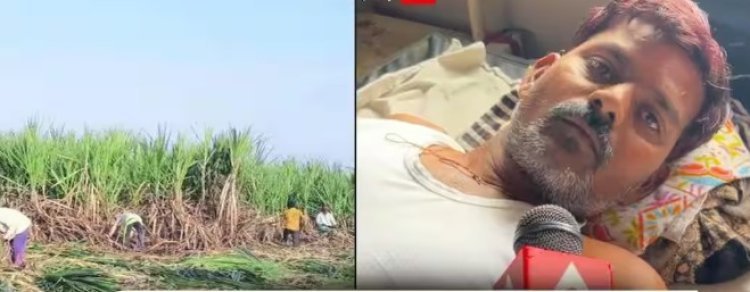 ऊसतोड मजुराचे अपहरण, चार दिवस छळ; मुकादमावर गंभीर आरोप
