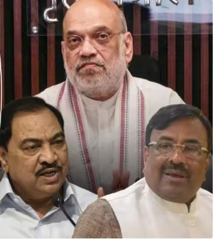 नाथाभाऊंच्या घरवापसीला बळ? मुनगंटीवार म्हणाले - 'खडसेंनी भाजपसाठी जीव ओतून काम केलं