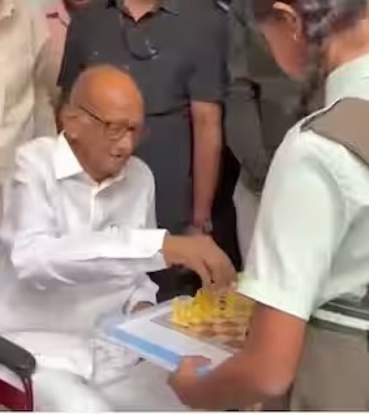 बुद्धिबळाच्या पटावर शरद पवारांची मास्टर चाल! राजा-वजीराला हात घालताच सोशल मीडियावर व्हिडीओ व्हायरल