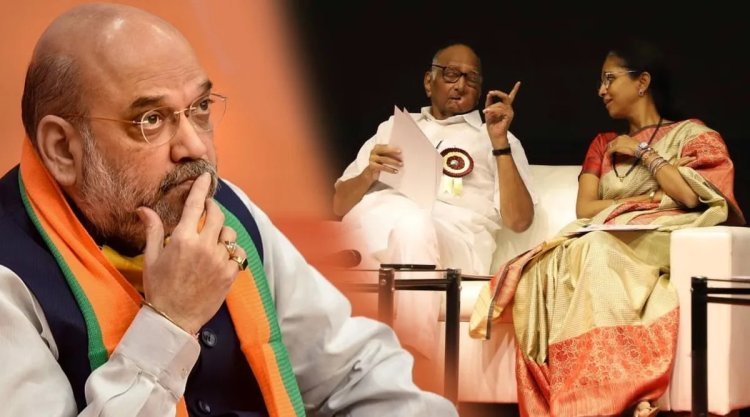 शरद पवारांच्या राष्ट्रवादीसाठी भाजपची नवी अट? एनडीएमध्ये प्रवेशावर दिल्लीतून स्पष्ट संदेश, सूत्रांचा दावा
