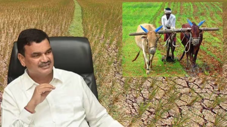 शेतकऱ्यांसाठी मोठी अपडेट! प्रोत्साहन अनुदान, कर्जमाफी आणि पीक विम्यावर कृषिमंत्री दत्तात्रय भरणेंची महत्त्वाची घोषणा