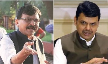 'केंद्रात या अन् मनुष्यबळ विकास खाते सांभाळा'; मोदींचे फडणवीसांना आमंत्रण, संजय राऊतांचा खळबळजनक दावा