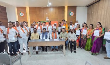 भाजप उद्योग आघाडीच्या नवनिर्वाचित पदाधिकार्‍यांना दिली नियुक्ती पत्रे