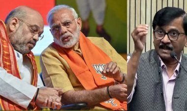 अमित शाह अन् मोदी गुंगा गुड्डा झालेत; संजय राऊतांची जहरी  टीका, डीबी पाटील' नामकरणावरूनही घेरले!