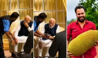 शरद पवारांनी रत्नागिरीच्या ‘फणस किंग’ला मोदींची भेट घडवली; मोबाईलमध्ये काय दाखवलं? कोण आहेत मिथिलेश देसाई?