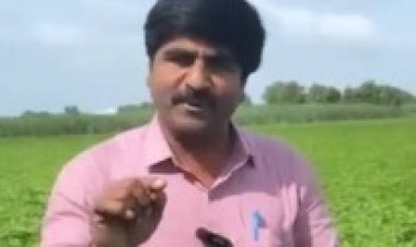 परतीचा पाऊस बॅकलॉग भरून काढणार; विदर्भ-मराठवाड्यातील शेतकऱ्यांची चिंता मिटणार? पंजाब डख यांचा अंदाज