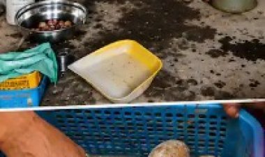 भंडाऱ्यातील ‘मध्यान्ह भोजन’ योजनेवर खासदार प्रशांत पडोळे आक्रमक
