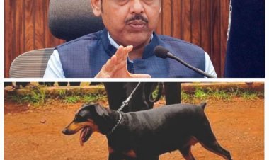 निवृत्तीनंतरही पोलीस डॉग पोलिसांसोबतच राहणार; CM देवेंद्र फडणवीसांचा संवेदनशील निर्णय