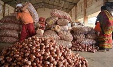 कांद्याला मोठी झळाळी! आठवडाभरात दरात 40 टक्क्यांची वाढ; शेतकऱ्यांना किती फायदा?