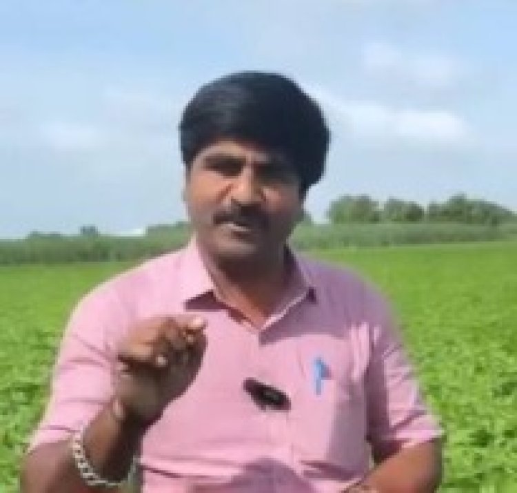 परतीचा पाऊस बॅकलॉग भरून काढणार; विदर्भ-मराठवाड्यातील शेतकऱ्यांची चिंता मिटणार? पंजाब डख यांचा अंदाज