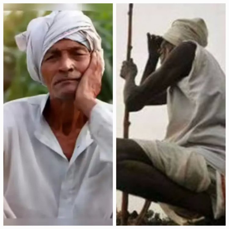 मयत शेतकऱ्यांच्या नावावरील 'कर्जमाफी' कशी मिळेल? जाणून घ्या A to Z माहिती