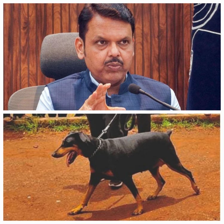 निवृत्तीनंतरही पोलीस डॉग पोलिसांसोबतच राहणार; CM देवेंद्र फडणवीसांचा संवेदनशील निर्णय