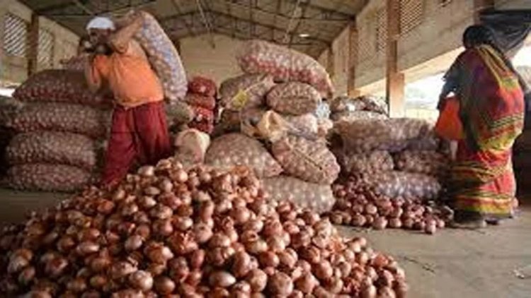 कांद्याला मोठी झळाळी! आठवडाभरात दरात 40 टक्क्यांची वाढ; शेतकऱ्यांना किती फायदा?