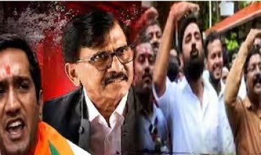 ‘मनसेचे गुंड अंगावर धावून आले’; कृष्णराज महाडिकांचा आरोप, संजय राऊत म्हणाले, ‘बाळा, तू चुकीच्या पक्षात आहेस’