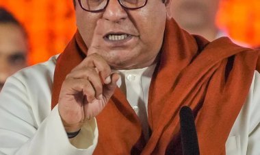 ‘कावळ्याच्या शापाने गाय मरत नसते’ राज ठाकरेंच्या मोजक्या शब्दांतील पोस्टची चर्चा, नेमकं काय म्हणाले?